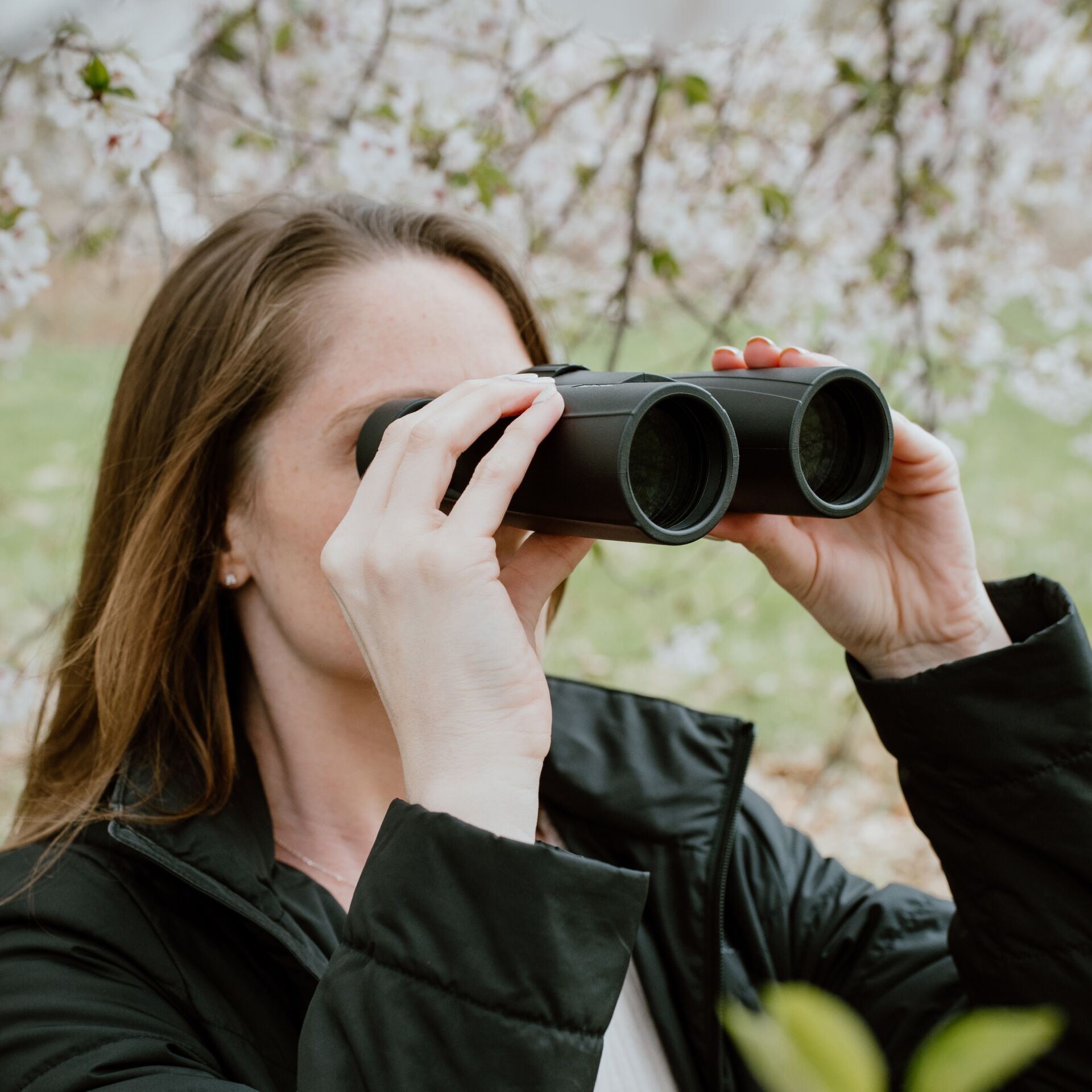 Photographie, Photographie