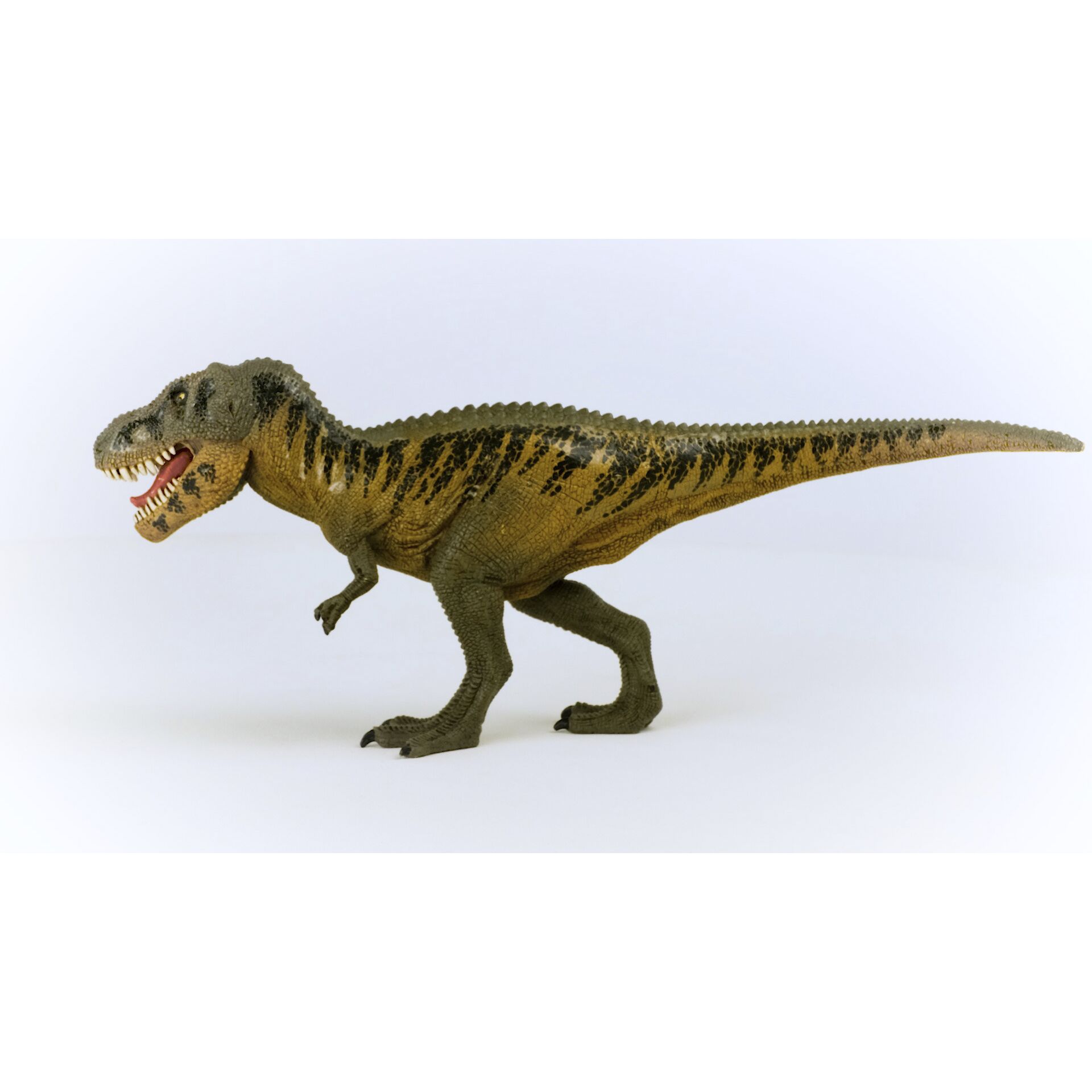 Tier, Dinosaurier, Reptil, T-Rex