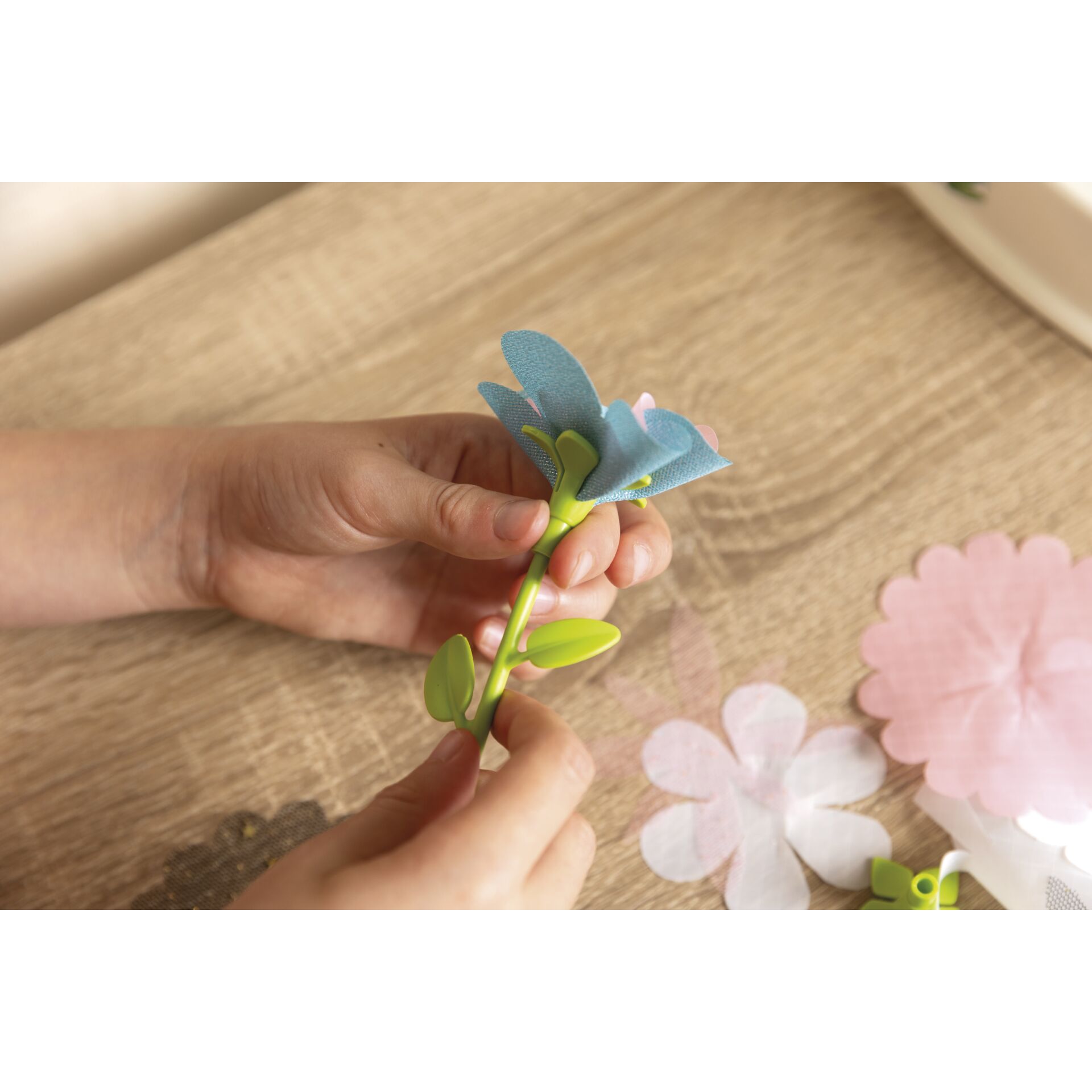 Blatt, Pflanze, Innenarchitektur, Schere, Blume