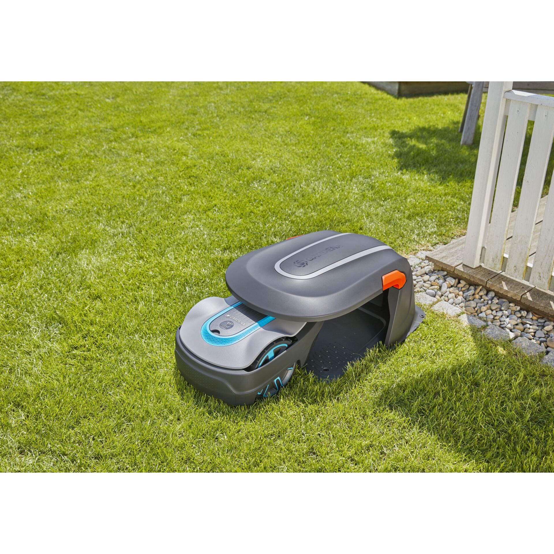 Gras, Rasen, Pflanze, Gerät, Rasenmäher