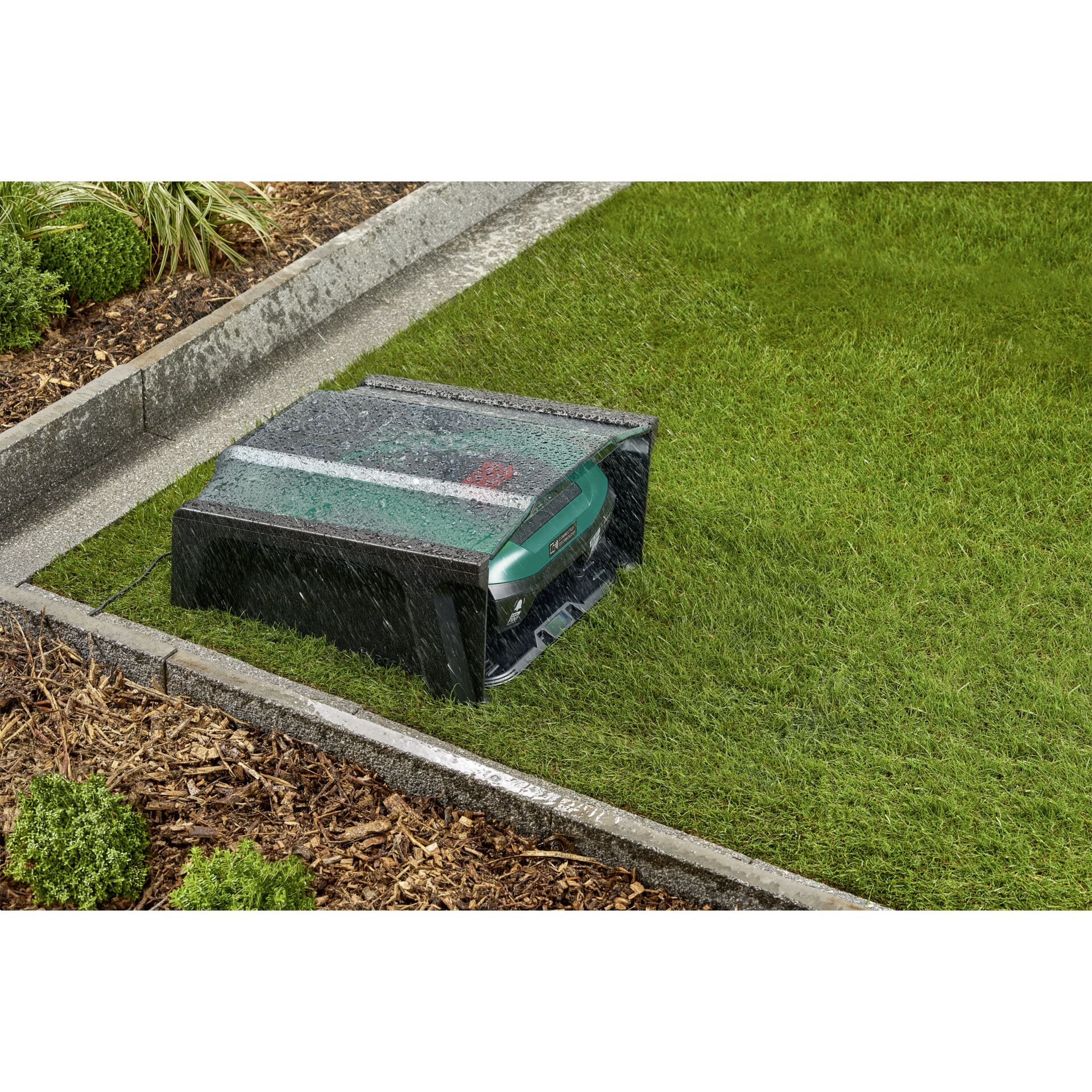 Gras, Pflanze, Rasen, Bank, Mobiliar