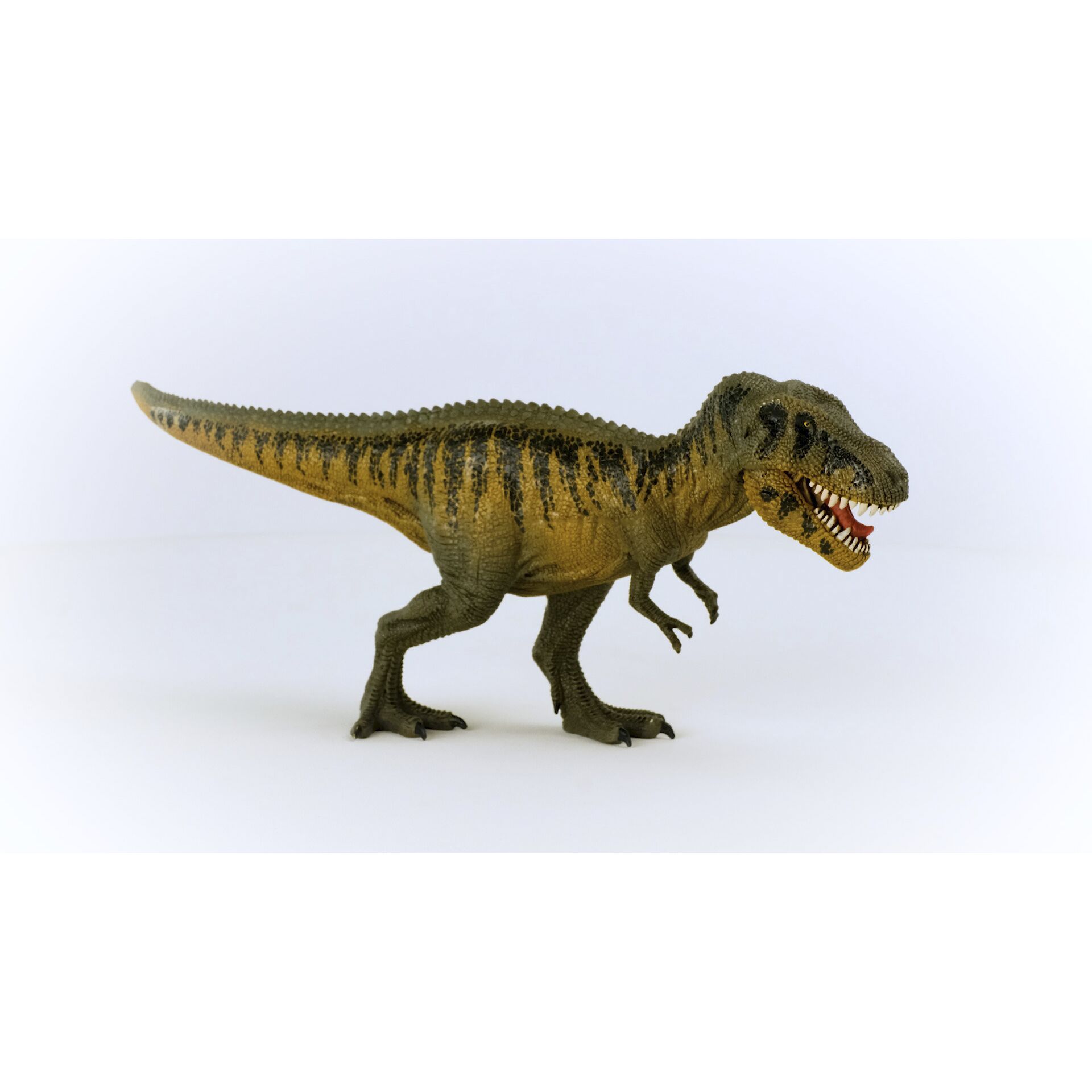 Tier, Dinosaurier, Reptil, T-Rex