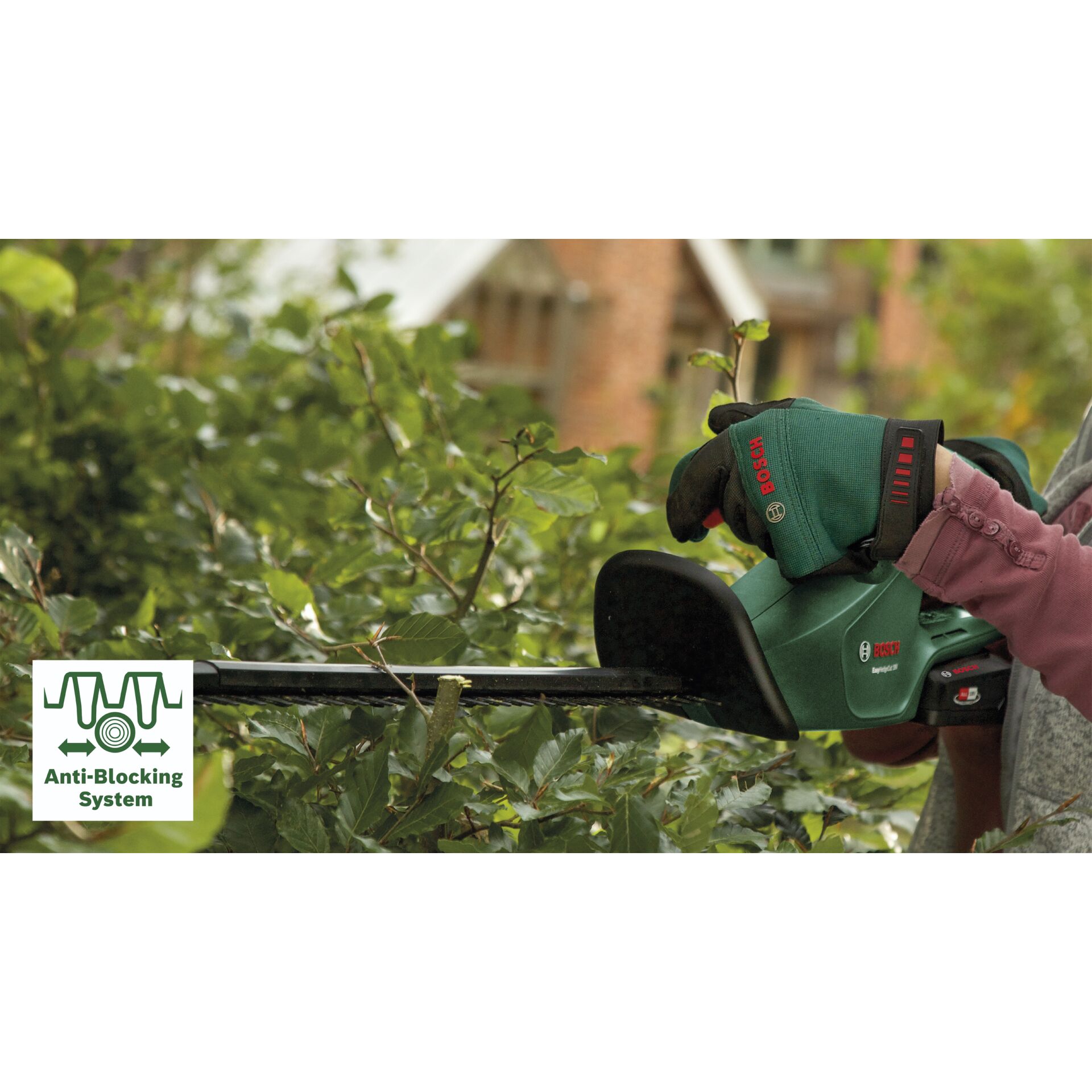 Garten, Natur, Draußen, Gartenarbeit, Handschuh