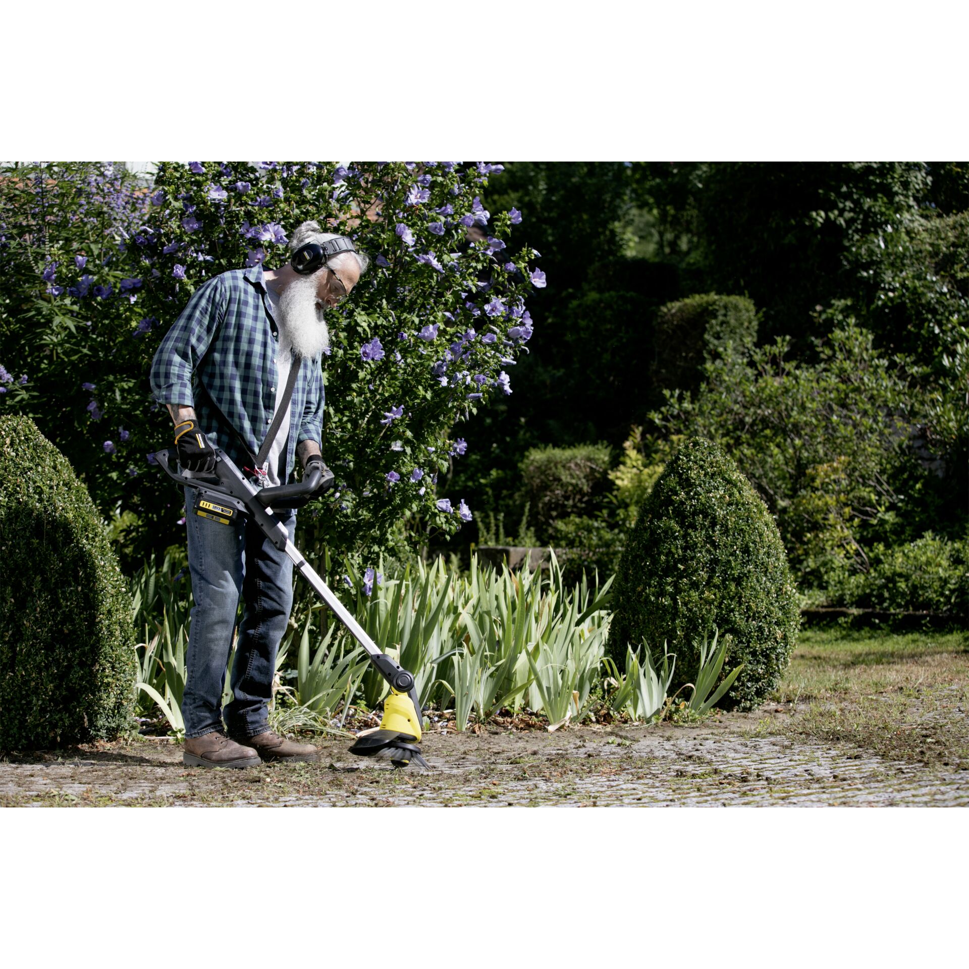 Gras, Rasen, Garten, E-Scooter, Gartenarbeit
