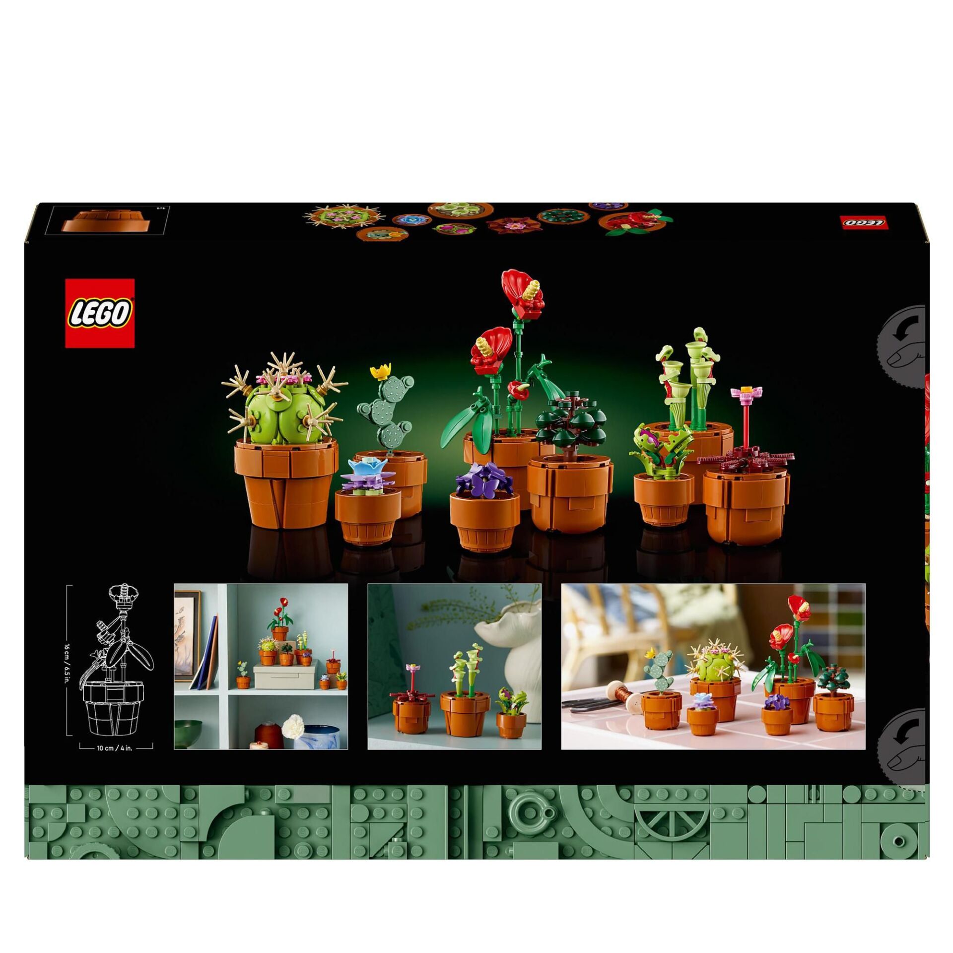 Pflanze, Pflanze im Topf, Blume, Blumen-Arrangement, Tabelle
