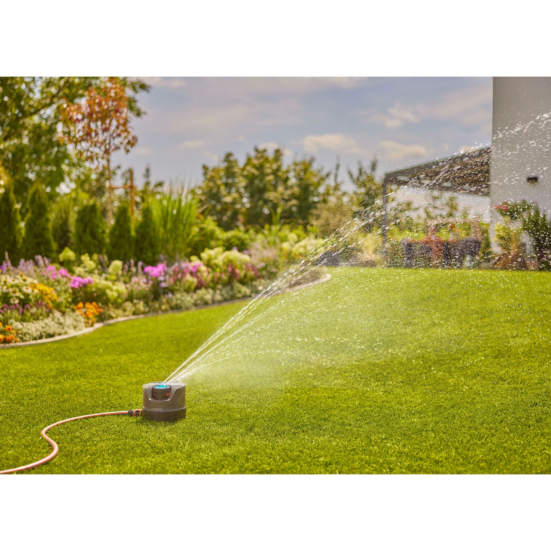 Gras, Pflanze, Rasen, Wasser, Maschine