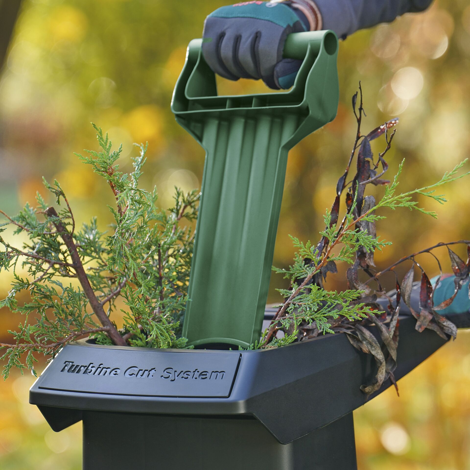 Garten, Draußen, Topfpflanze, Gartenarbeit, Pflanzgefäß