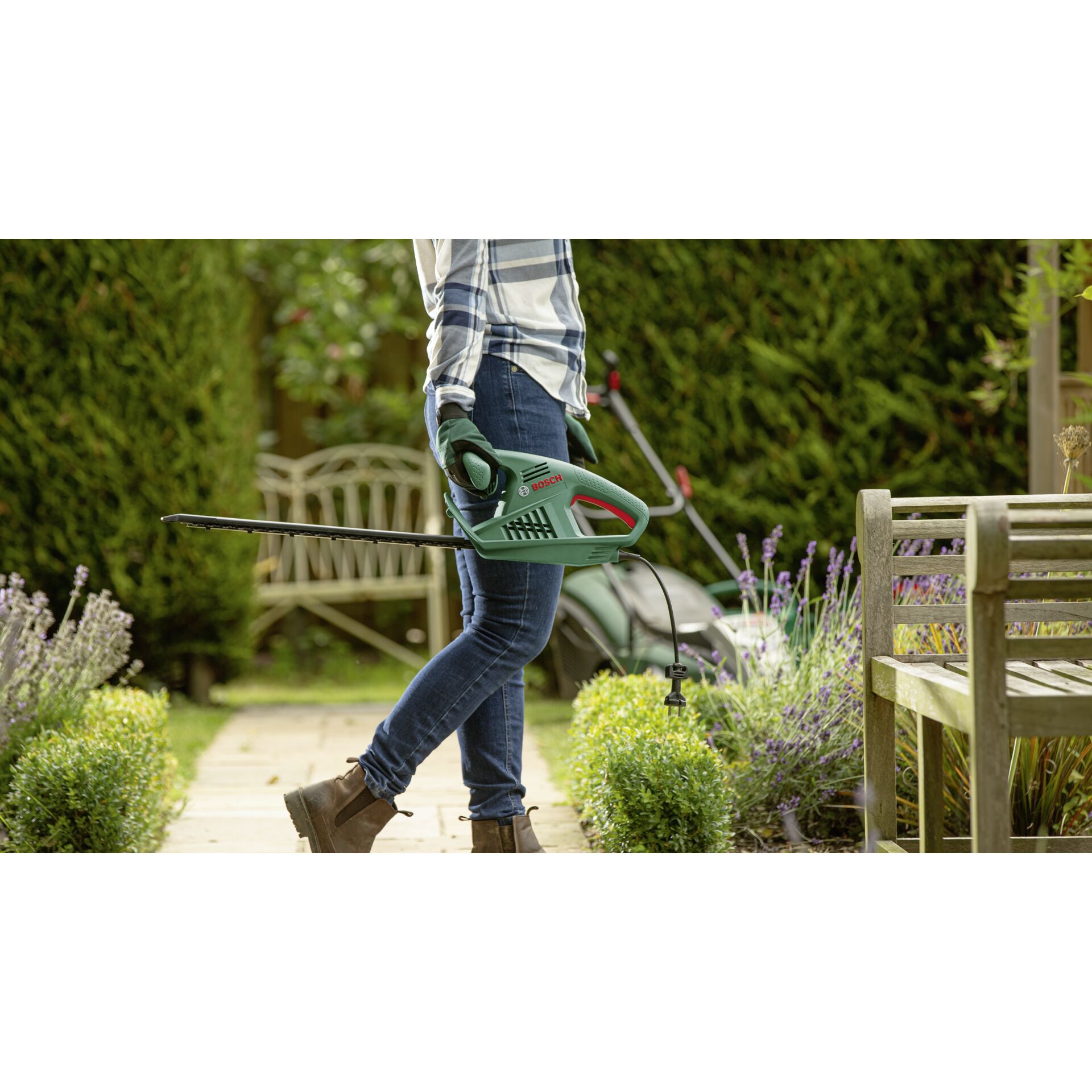 Gras, Rasen, Innenarchitektur, Garten, Gartenarbeit