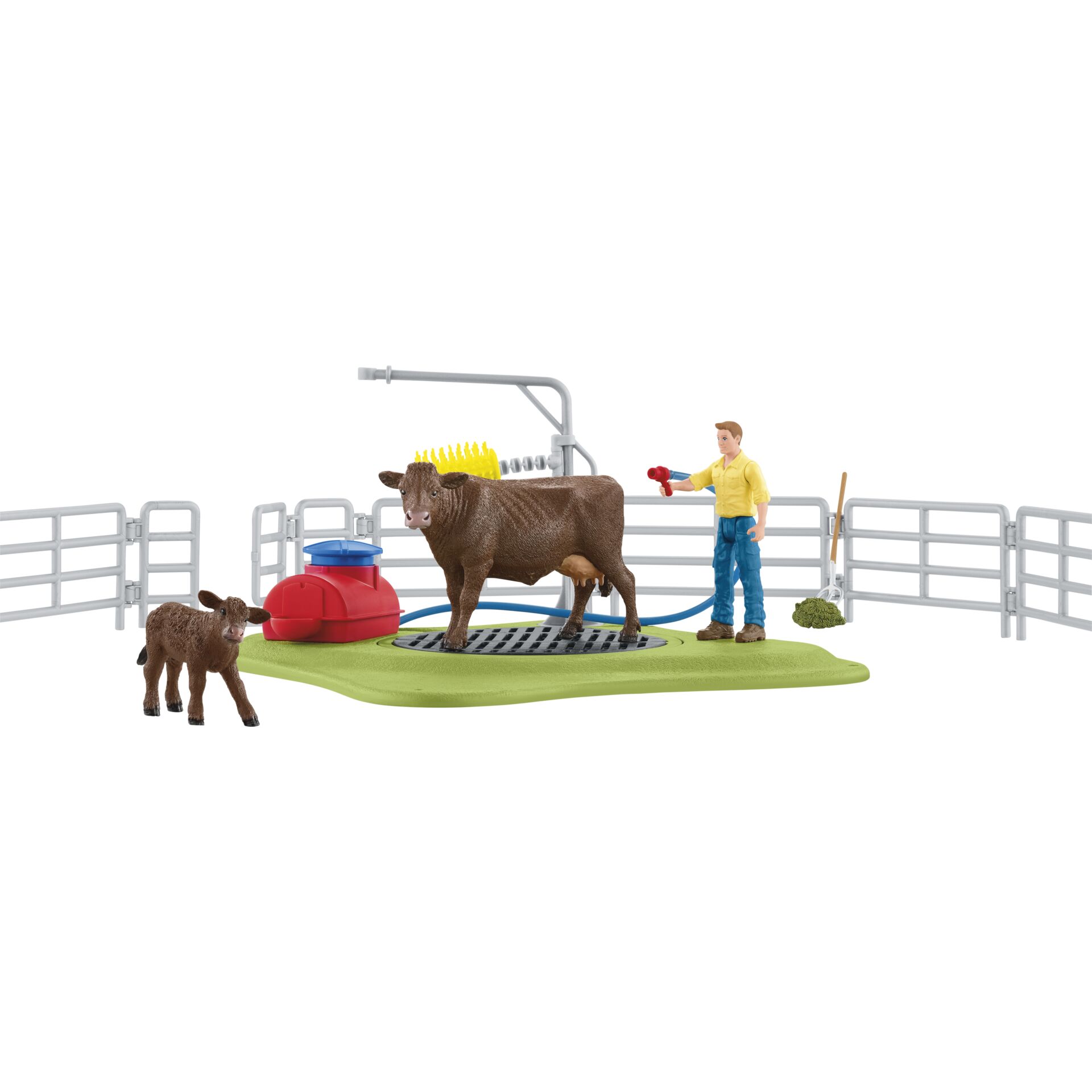 Junge, Kind, Männlich, Person, Stier