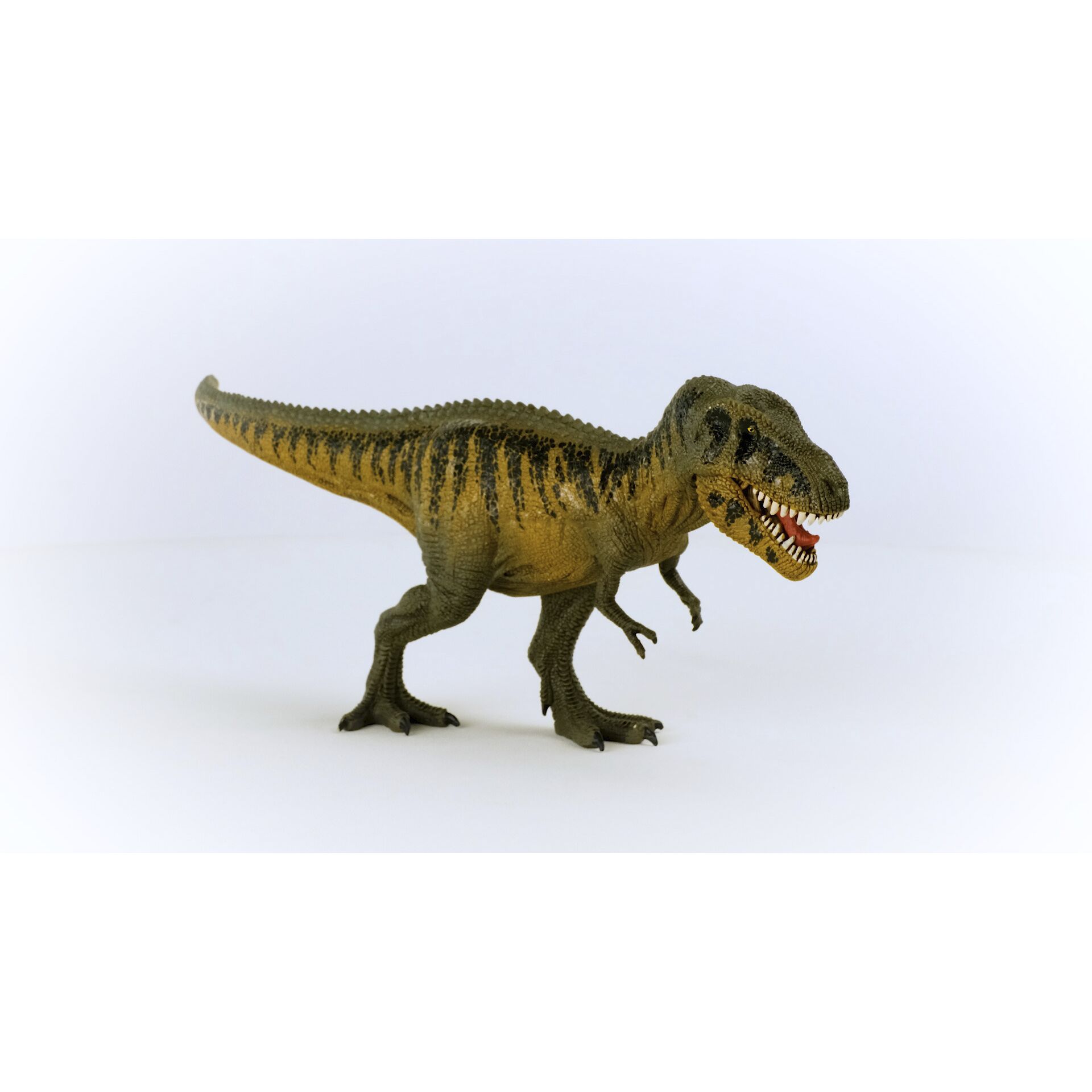 Tier, Dinosaurier, Reptil, T-Rex
