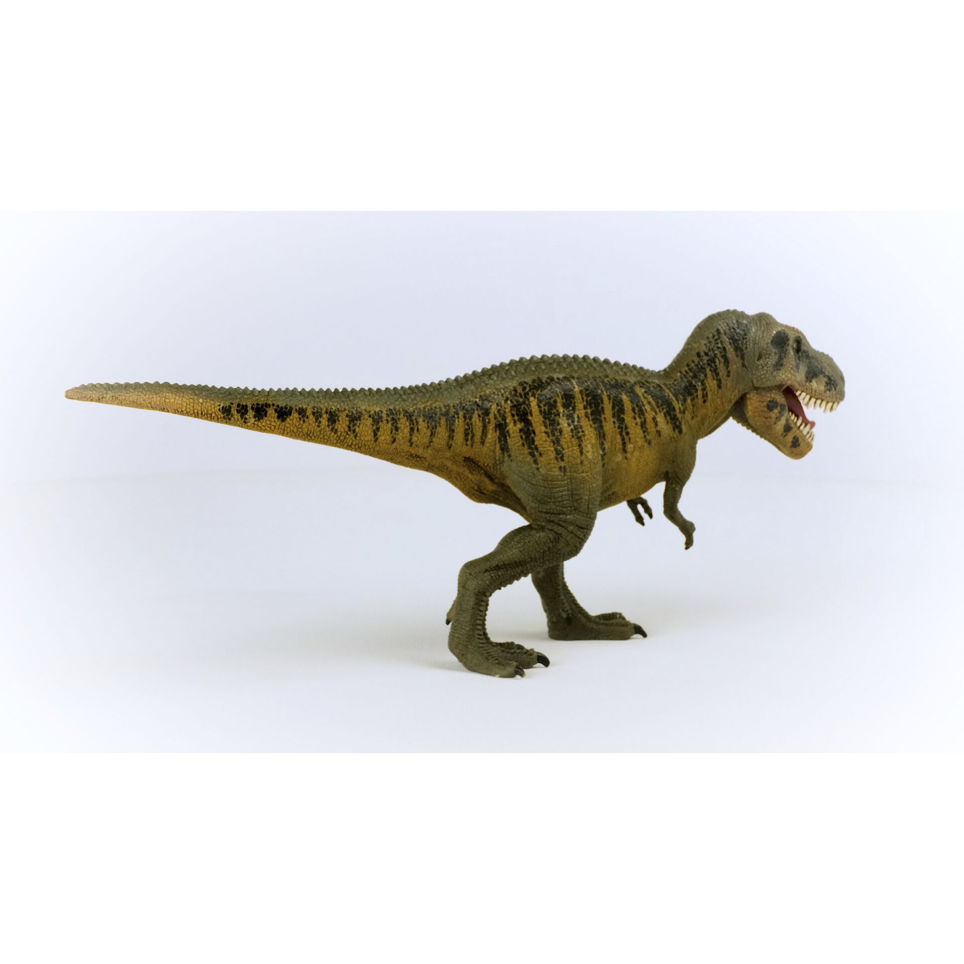 Tier, Dinosaurier, Reptil, T-Rex