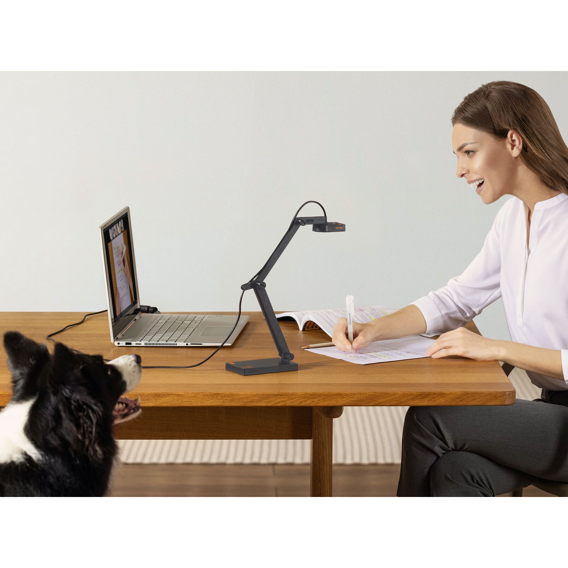 Moebel, Tabelle, Schreibtisch, Sitzend, Laptop