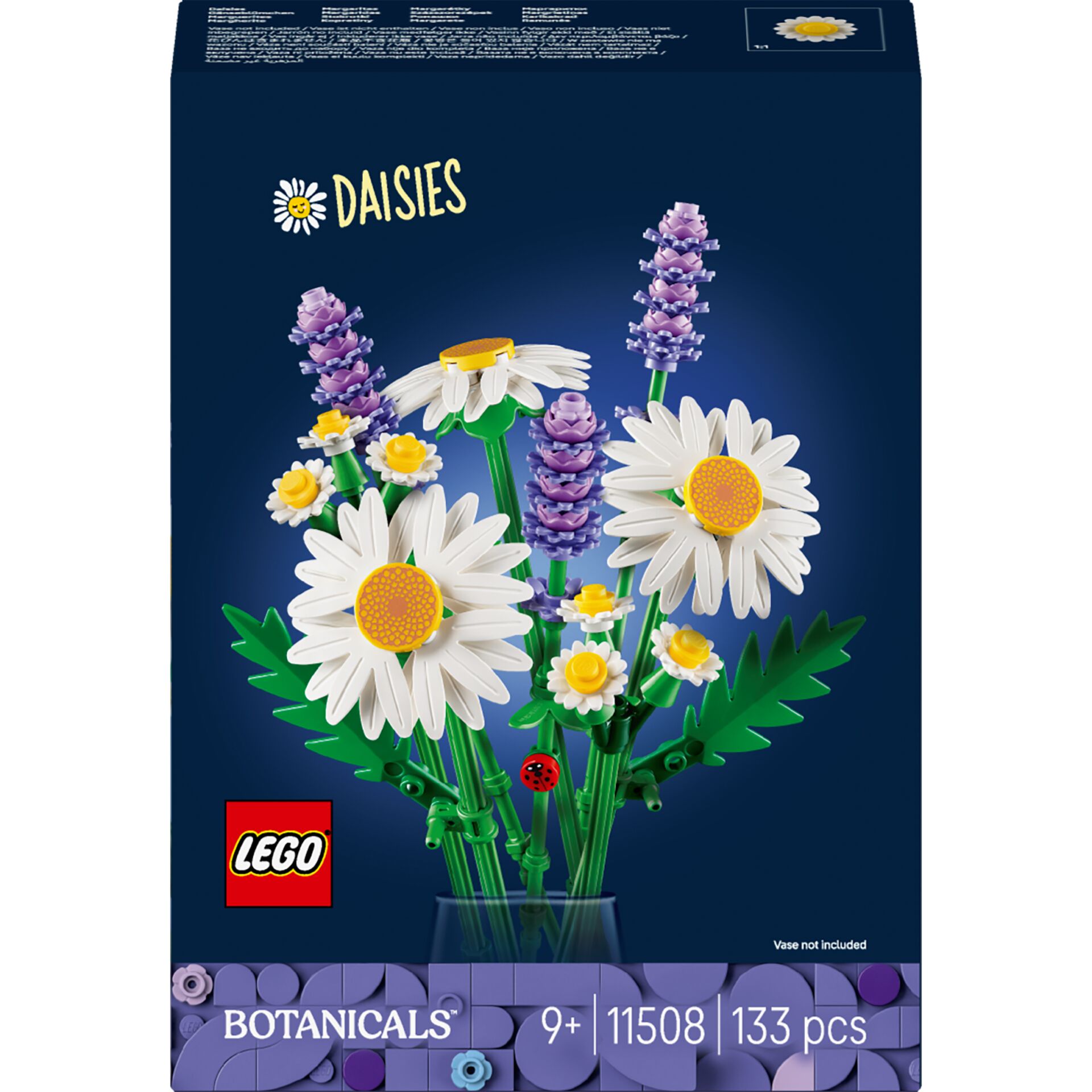 Gänseblümchen, Blume, Pflanze, Purpur, Blumen-Arrangement
